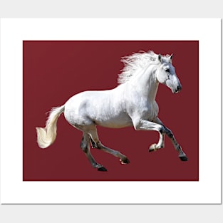 horse Posters and Art